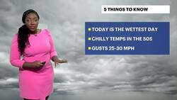 STORM WATCH: Rounds of steady rain, breezy conditions through tonight for Brooklyn News Clip