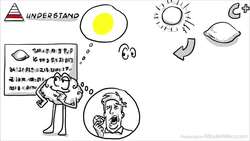 Bloom's Taxonomy: A Guide to Structured Learning Instructional Video