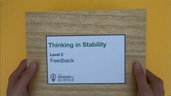 Thinking in Stability - Level 5 - Feedback Instructional Video