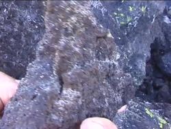 The Changing Phases of Matter: Summing Up Instructional Video