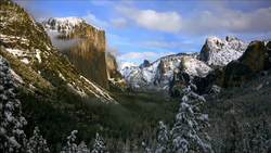 TED: Nature. Beauty. Gratitude. | Louie Schwartzberg Instructional Video