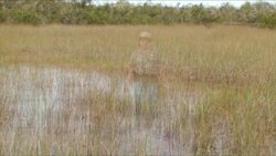 Everglades National Park - Shark Valley Instructional Video