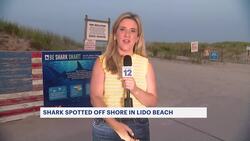 Lifeguards on high alert following shark sighting offshore at Lido Beach News Clip