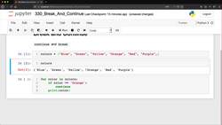 Python for Everybody: The Ultimate Python 3 Bootcamp - Break and Continue Instructional Video