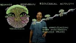 How to Fix a Broken Ecosystem Instructional Video