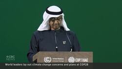 U.A.E. pledges $30B US to fund clean energy in less-developed countries News Clip