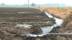 Millet Production and World Hunger Instructional Video