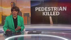 Police: Woman arrested for fleeing scene of deadly Vineland crash News Clip