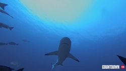 TED: Leave only footprints that will wash away | Children of Palau Instructional Video