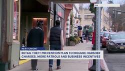 Retail prevention plan to include harsher penalties, additional patrols News Clip
