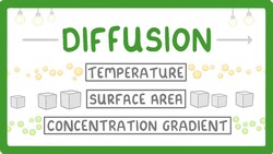 What is Diffusion? How Does it Work? What Factors Affect it? #7 Instructional Video