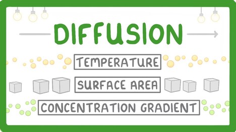 What is Diffusion? How Does it Work? What Factors Affect it? #7