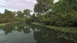 View from a boat in the Northern Territory, Australia Stock Footage