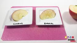 Fruits Gone Bad? Discover Enzymatic Browning Instructional Video