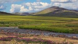 Life in the Arctic Tundra: Adapting to the Extreme Environment Instructional Video