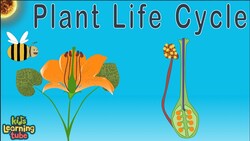 Plant Life Cycle /Seed Germination Instructional Video