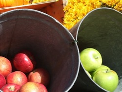 Plantas con flores: la importancia de las plantas que florecen Instructional Video