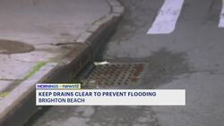 Residents urged to keep drains clear to prevent flooding in Brighton Beach News Clip