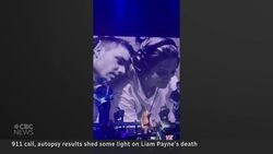 911 call sheds light on Liam Payne’s death as fans pay tribute Instructional Video