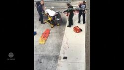 Florida airport witness video News Clip