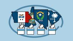 Super Tuesday Explained The Most Important Day of the Primary - TLDR News Instructional Video