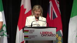 Bonnie Crombie is out as Ontario Liberal leader. What happens now? News Clip