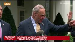 Schumer: Default Would Be a Disaster News Clip