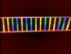 Genetics in Our Lives: Dna Instructional Video