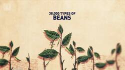 Seed banks can help guard against threats to food production Instructional Video