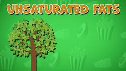 High Five Facts - Fats Instructional Video