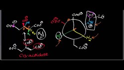 Aconitase 2 Instructional Video