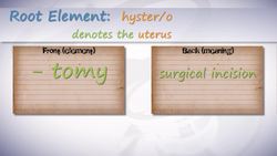 HST-MT - Medical Terminology of the Female Reproductive System Instructional Video