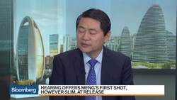 China Cabinet Adviser Wang on Virus Outbreak, Huawei CFO News Clip