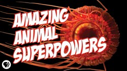 Nature's Most Amazing Animal Superpowers Instructional Video