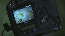 CLOSE ANGLE OF CANON DIGITAL CAMERA TAKING PHOTOGRAPH OF FOOTPRINT IN MUD. COULD BE FOR FORENSICS OR CRIME INVESTIGATION. BURN-IN. CRIME SCENES. Stock Footage