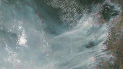 NASA | New Model Predicts Fire Season Severity in the Amazon Instructional Video