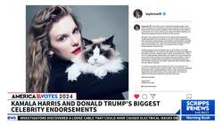 What impact will the Taylor Swift endorsement have? News Clip