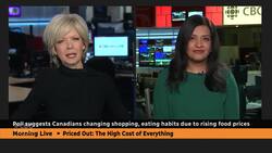 Poll suggests Canadians changing shopping habits because of rising food prices News Clip