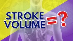 What Stroke Volume is and How to Calculate it Instructional Video