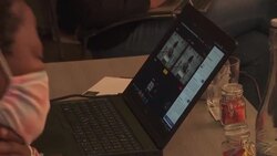 CLEAN : S.Africa to ban breeding and hunting lions in captivity News Clip