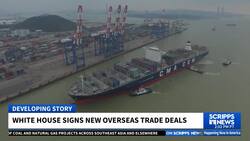 Trump rolls back tariffs on beef, coffee and other foods to address high prices News Clip