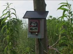 The Future of Solar Energy Instructional Video