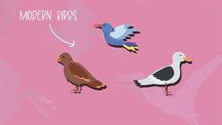 Is There Any Dinosaurs Alive Today? Instructional Video