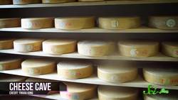 Why Does Swiss Cheese Have Holes? Instructional Video