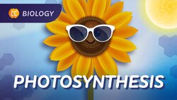 Photosynthesis: The Original Solar Power: Crash Course Biology #28 Instructional Video