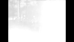 South Korean President Syngman Rhee attends ceremony held for US Marine division set to leave the Republic of Korea News Clip