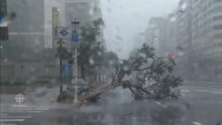 Widespread damage as Taiwan hit hard by Typhoon Megi News Clip