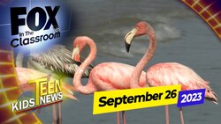 FOX News in the Classroom: September 26, 2023 News Clip