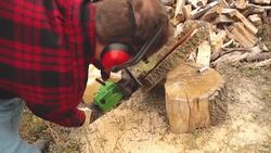 Lumberjack cutting woods with a chainsaw for winter. Stock Footage