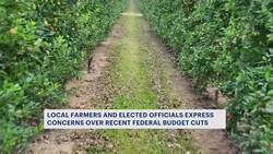 Local farmers, officials push back against USDA budget cuts News Clip